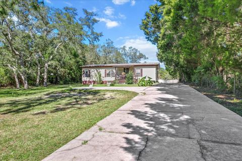 A home in HOMOSASSA