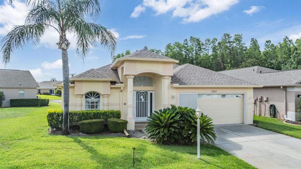 Photo of 12027 Yellow Finch Lane, Trinity, FL 34655 (MLS # W7876293)