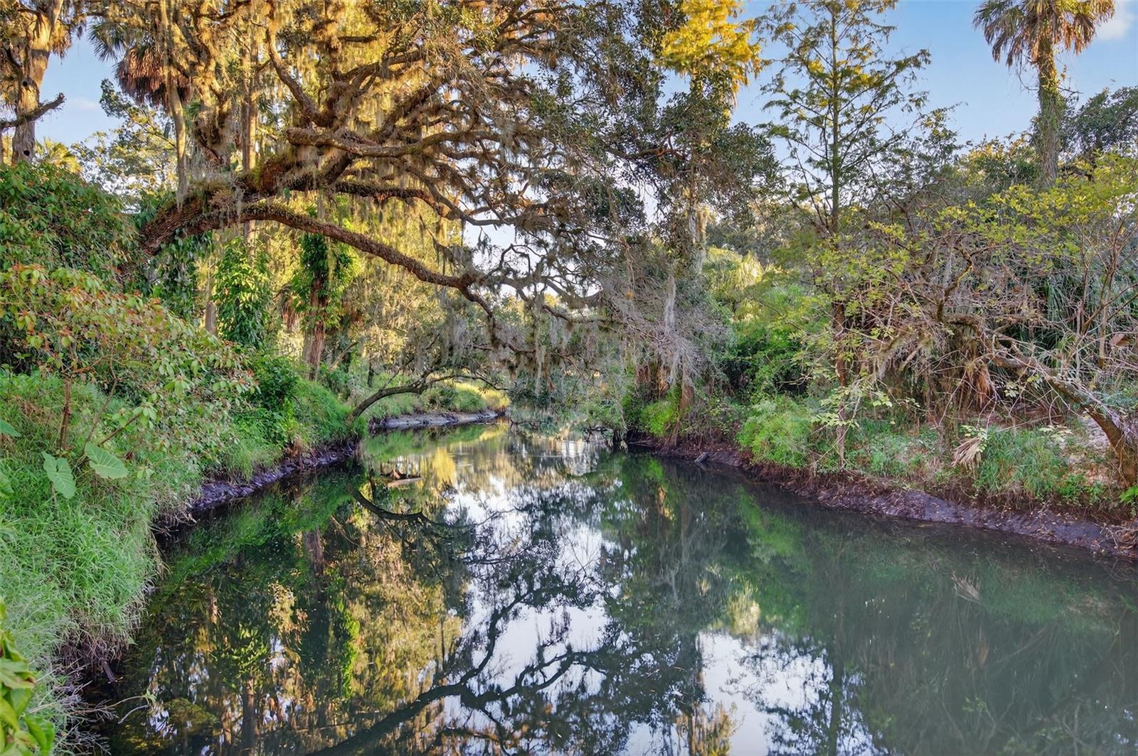 ACREAGE - Residential