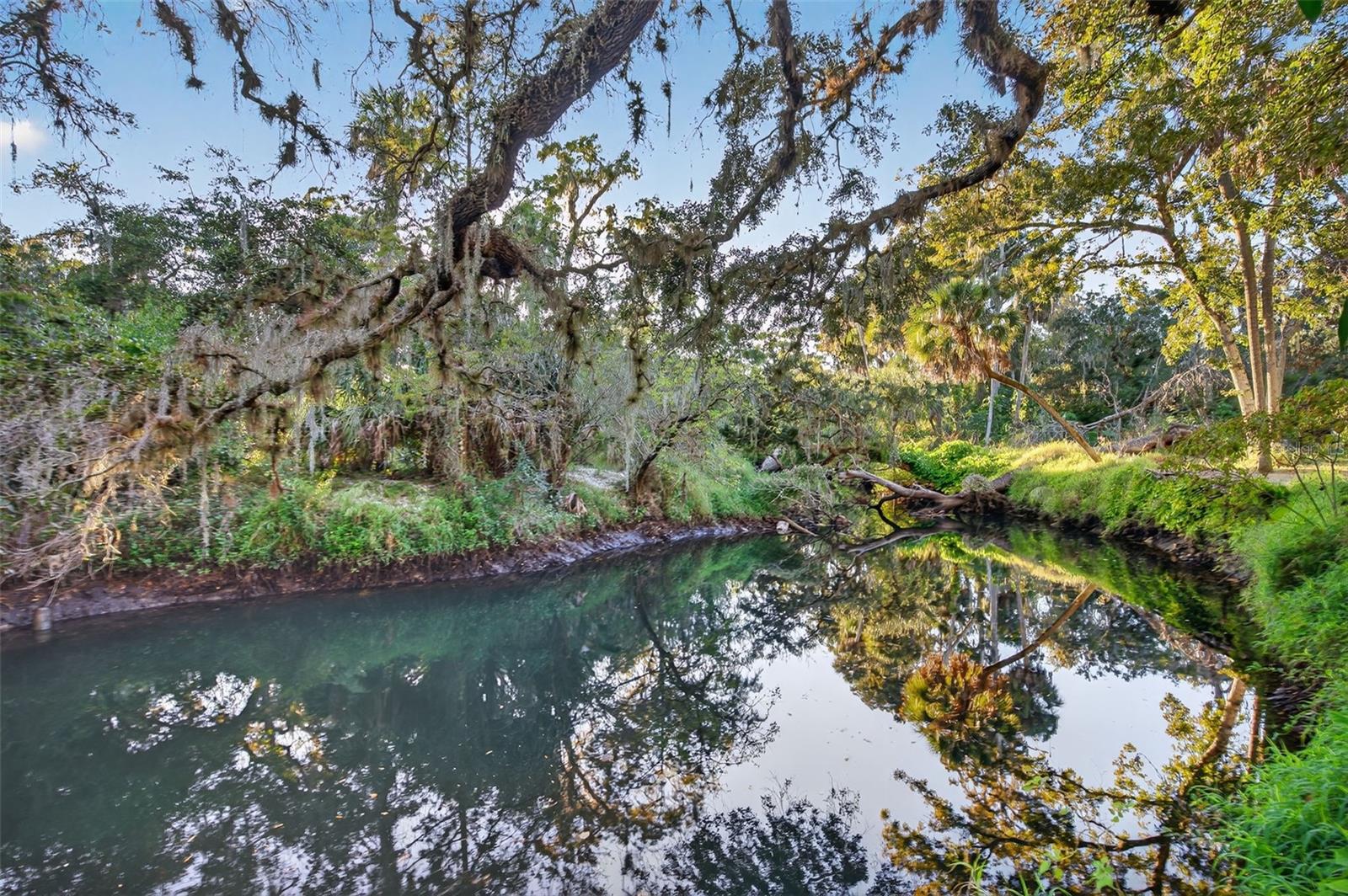 ACREAGE - Residential