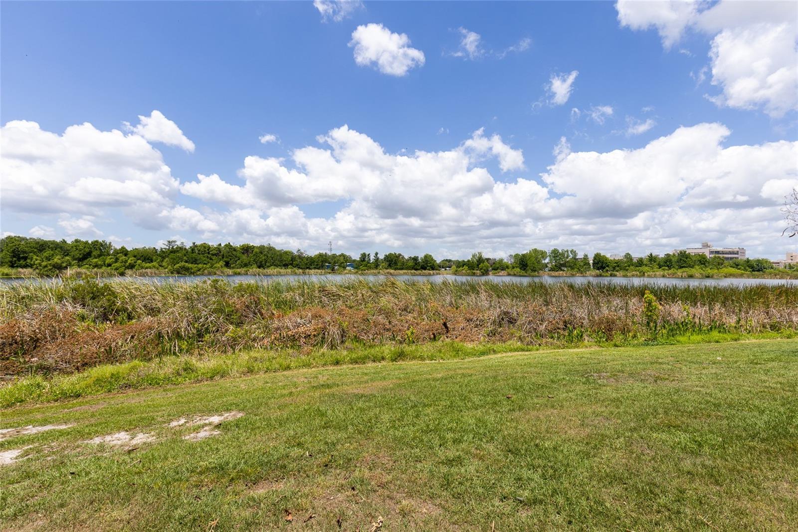 LEMON TREE CONDO SEC 01 - Residential