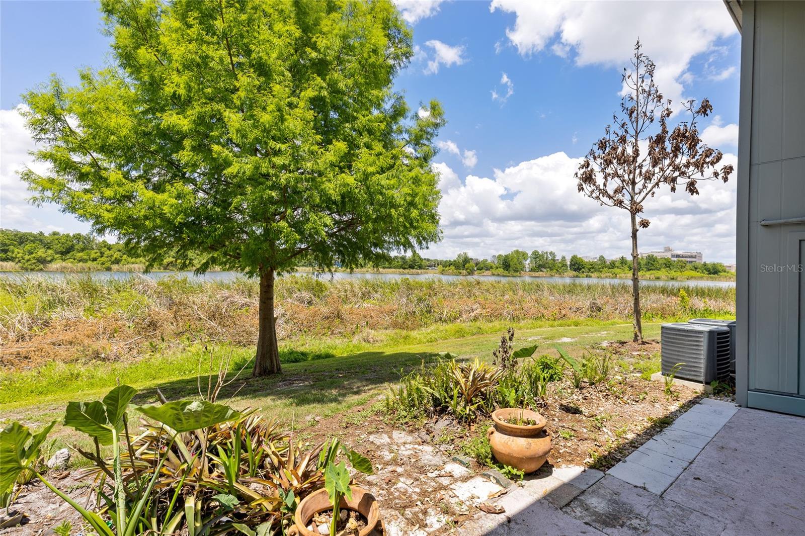 LEMON TREE CONDO SEC 01 - Residential