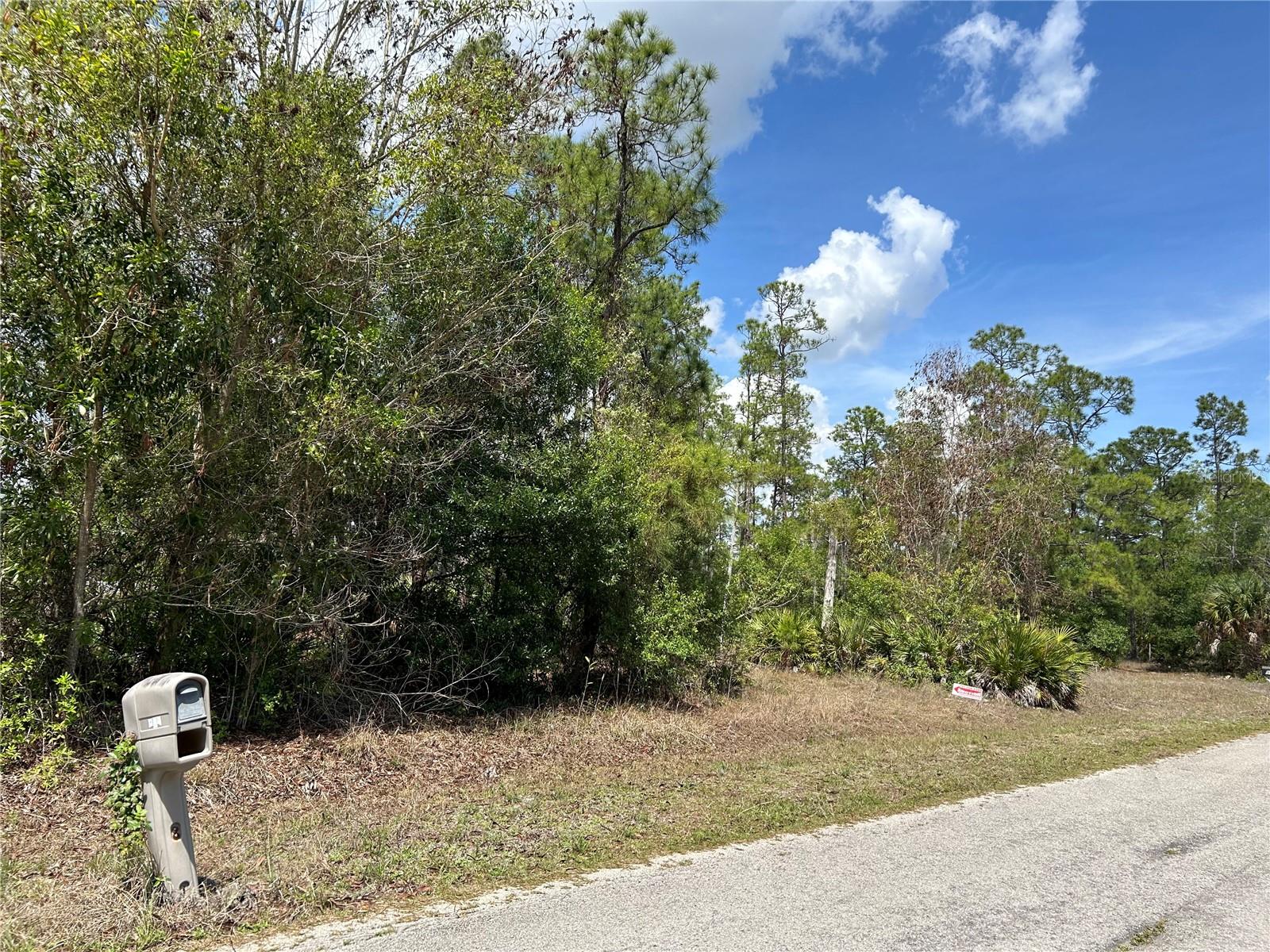 LEHIGH ACRES - Land