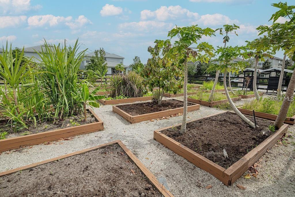 STOREY PK-PCL L PH 2 - Residential Lease