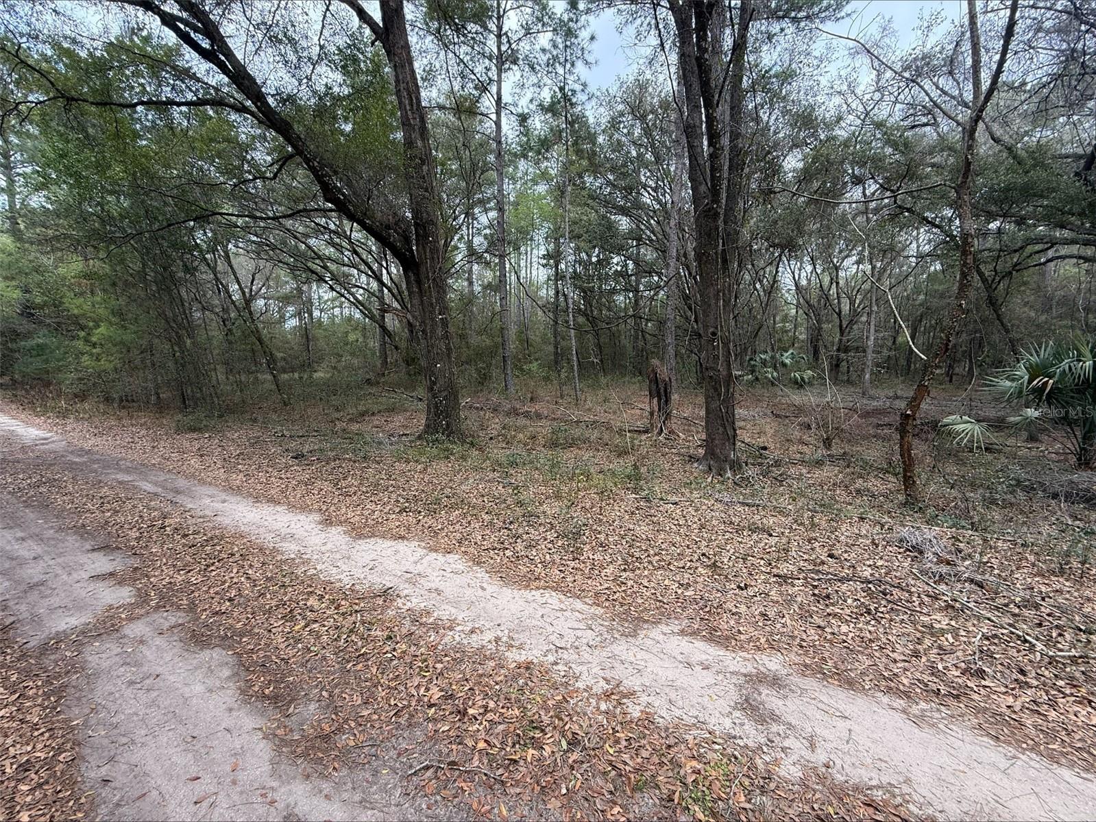 RAINBOW PARK UN 04 - Land