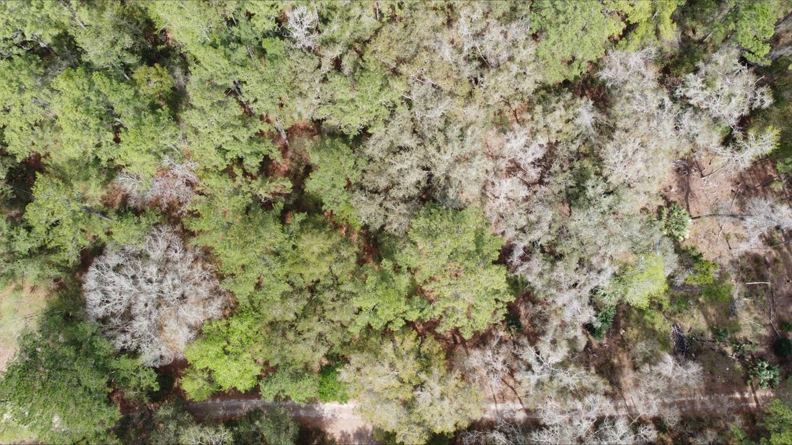 RAINBOW PARK UN 04 - Land