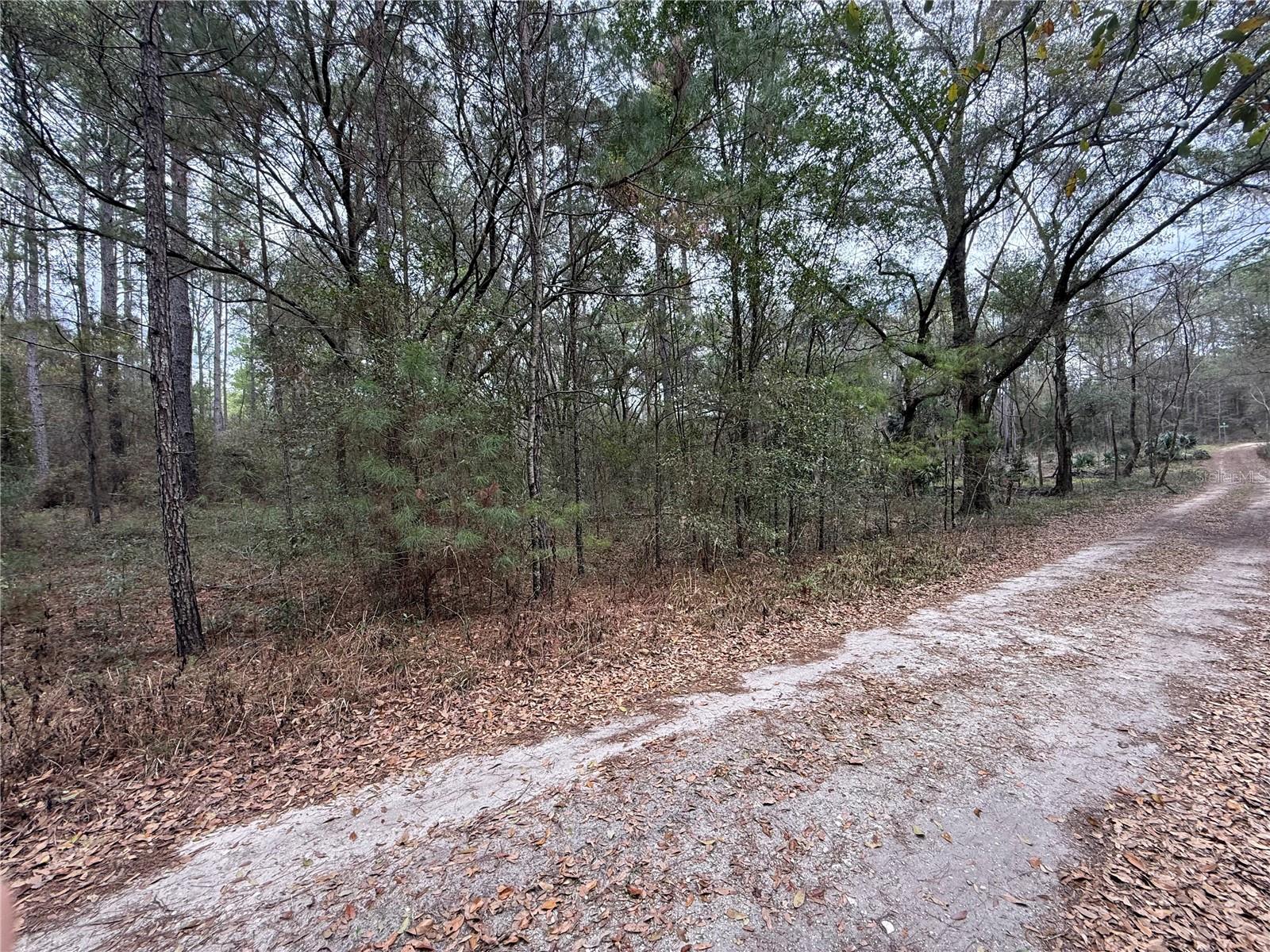 RAINBOW PARK UN 04 - Land