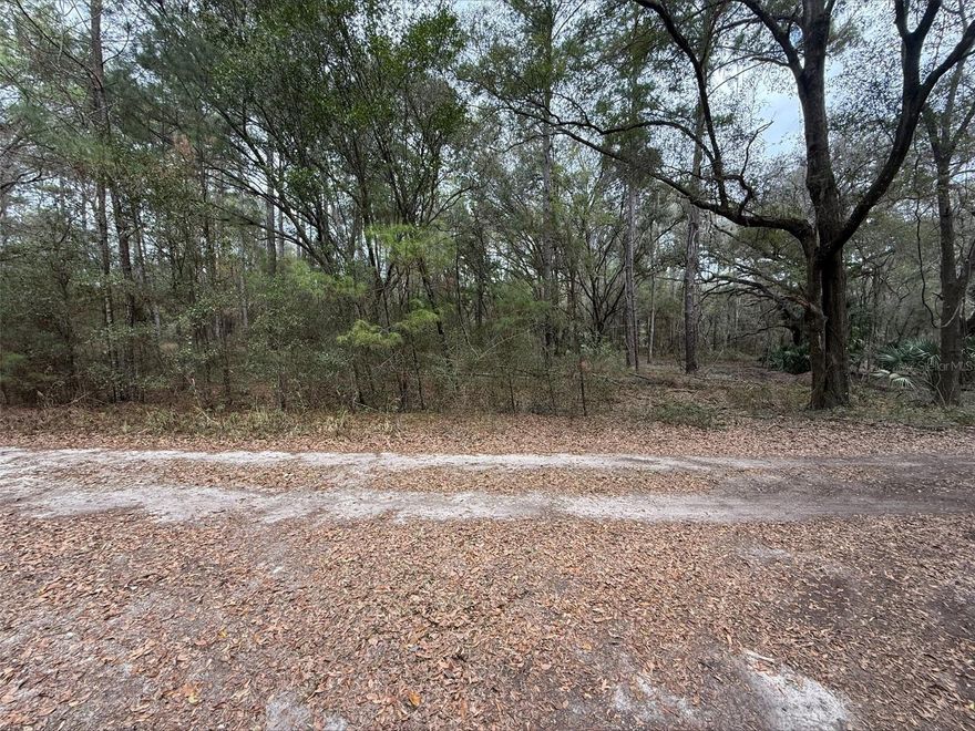 Charming, flat, buildable, double lot now available in Rainbow Park. At just shy of a half of an acre (0.46), the parcel measures out 150 ft wide by 135ft deep, and will allow you to split into two parcels of 75 ft across if desired. Parcel is NOT situated in a flood zone or HOA and is close to nearby existing electric, via active construction. Situated between Ocala and Dunnellon, these two locations are at your disposal, as are Rainbow Springs, Homosassa and the entire Nature Coast. It is 20 minutes to Ocala and 15 minutes to the World Equestrian Center. Well and septic are required. There are wells and septics in the neighborhood. Buyer to verify any and all information.