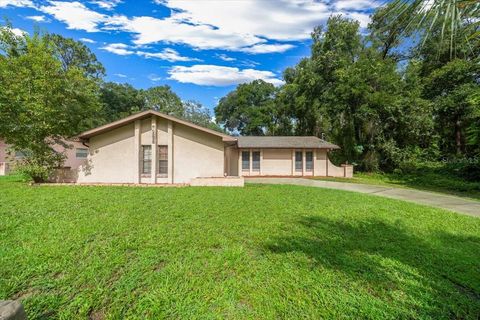 4075 S ALPINE AVENUE INVERNESS FL 34452