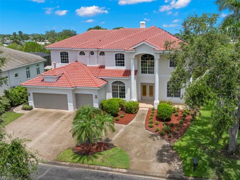 Photo of 1223 Darlington Oak Circle NE, St Petersburg, FL 33703 (MLS # TB8408192) Photo of 1223 Darlington Oak Circle NE, St Petersburg, FL 33703 (MLS # TB8408192)