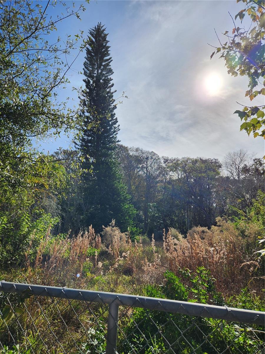 BEAR CREEK ESTATES - Land