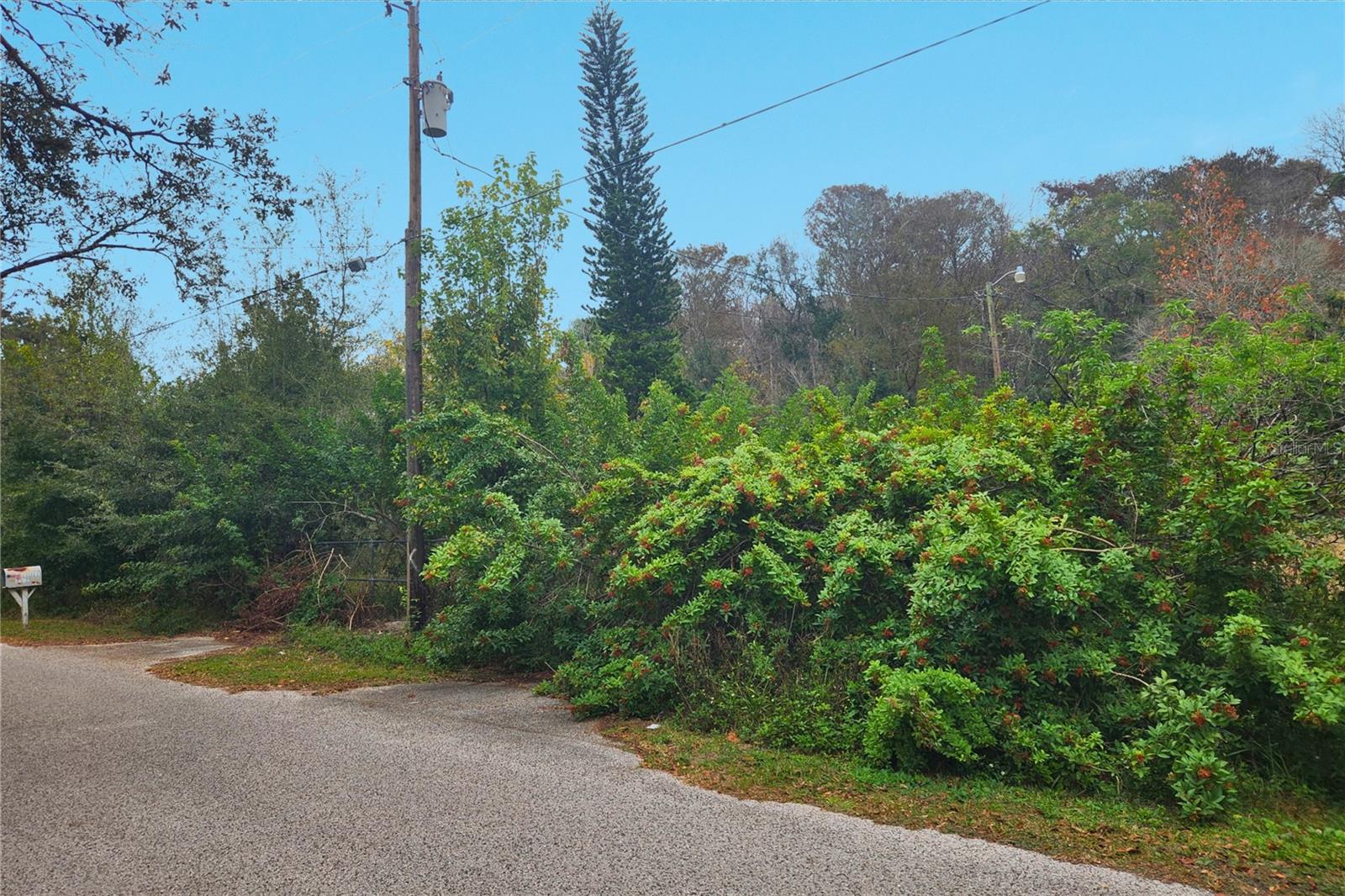 BEAR CREEK ESTATES - Land