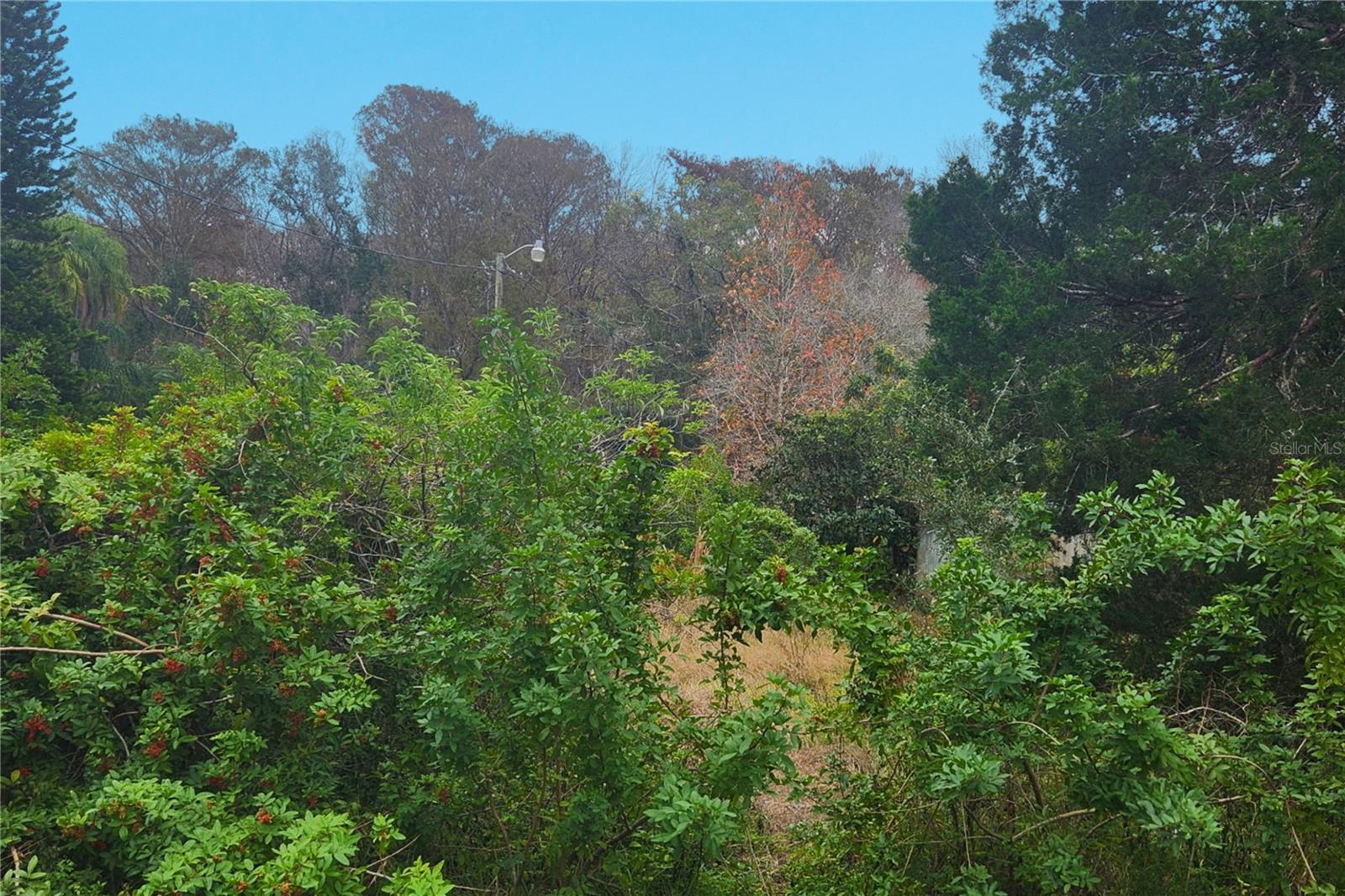 BEAR CREEK ESTATES - Land