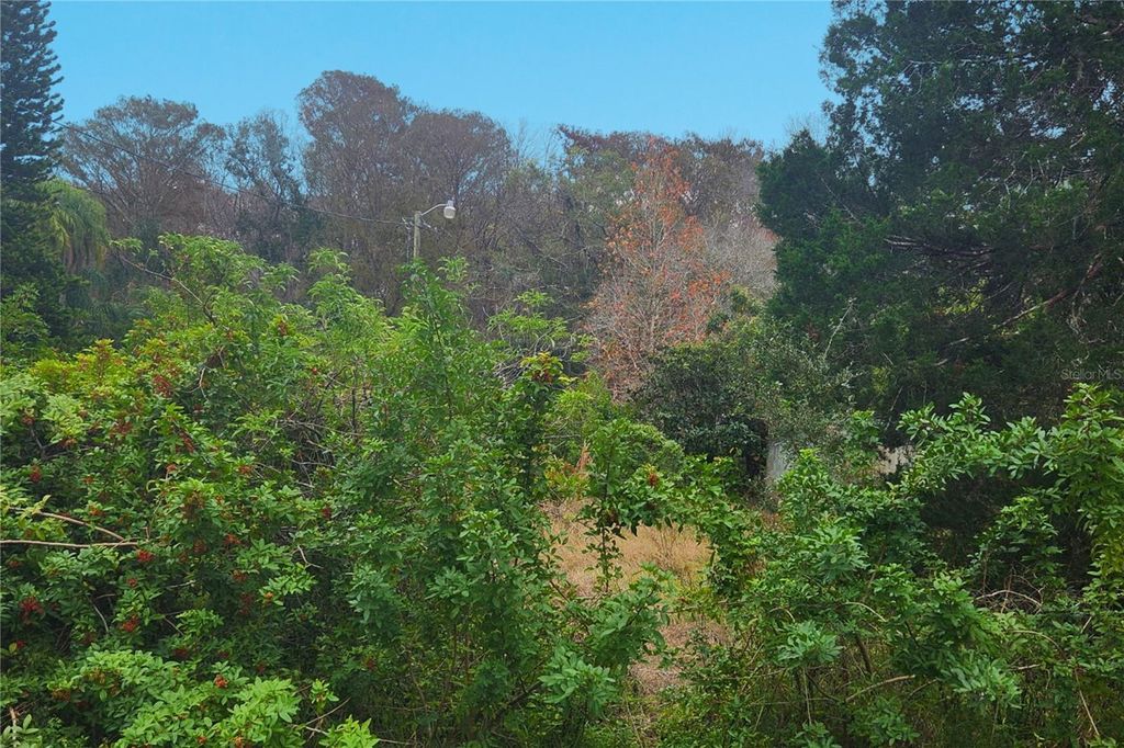 Photo of 10944 Echo Loop, New Port Richey, FL 34654 (MLS # W7881284)