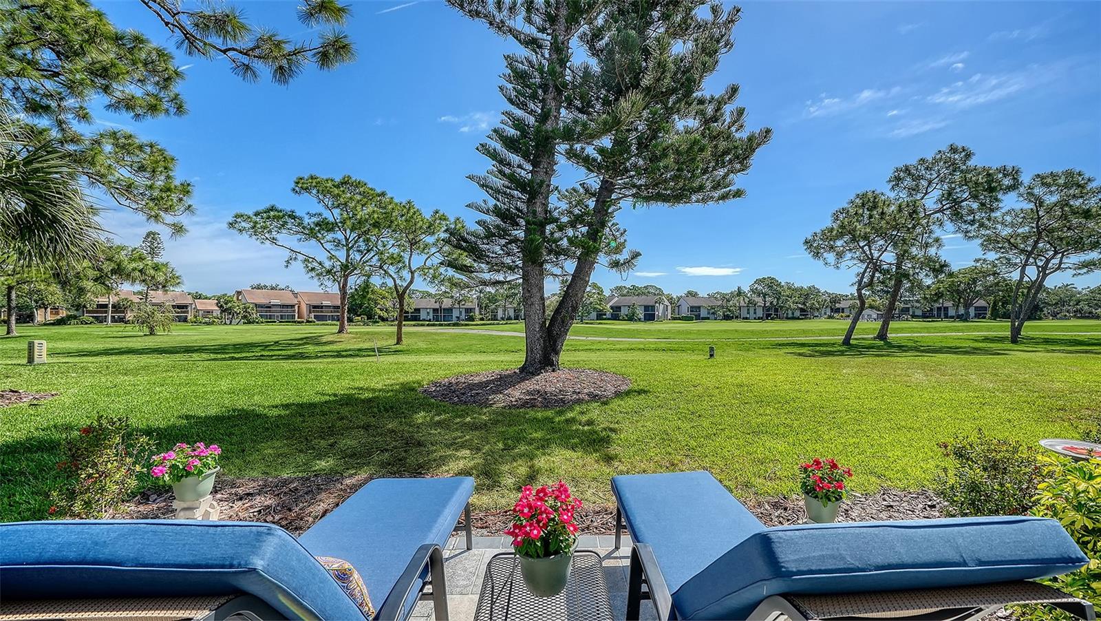 THE MEADOWS - Residential