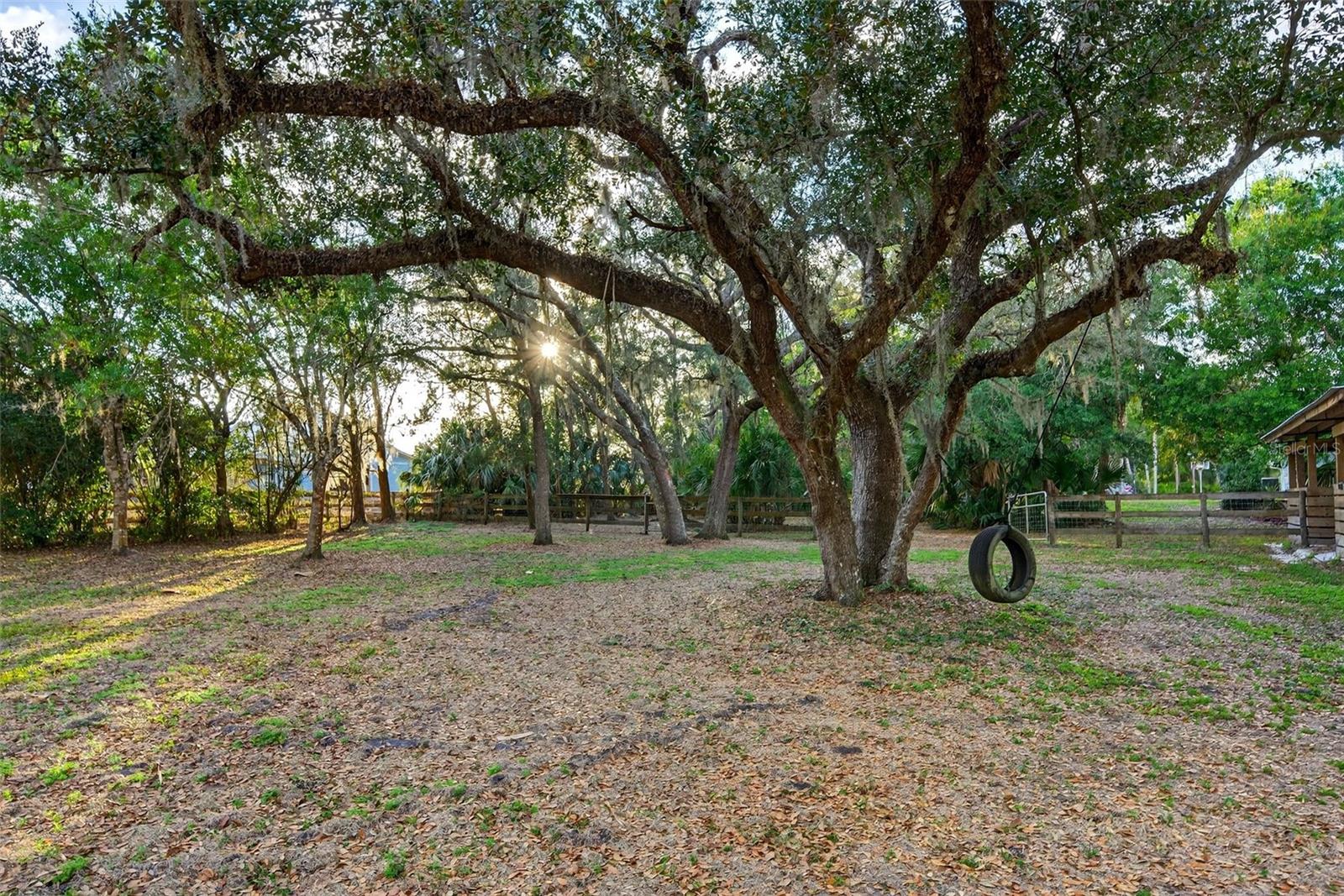 SADDLE CREEK - Residential