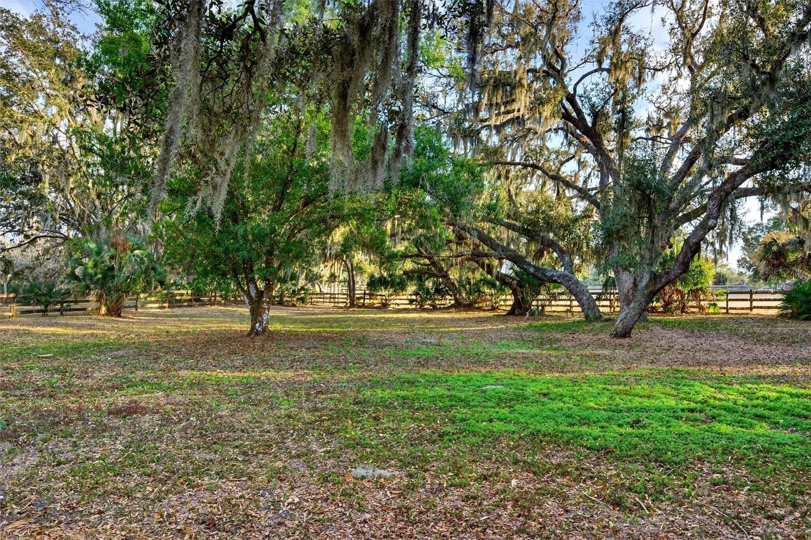 SADDLE CREEK - Residential