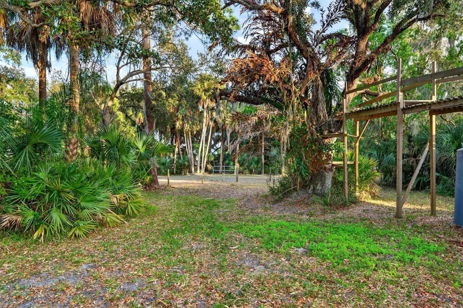 SADDLE CREEK - Residential