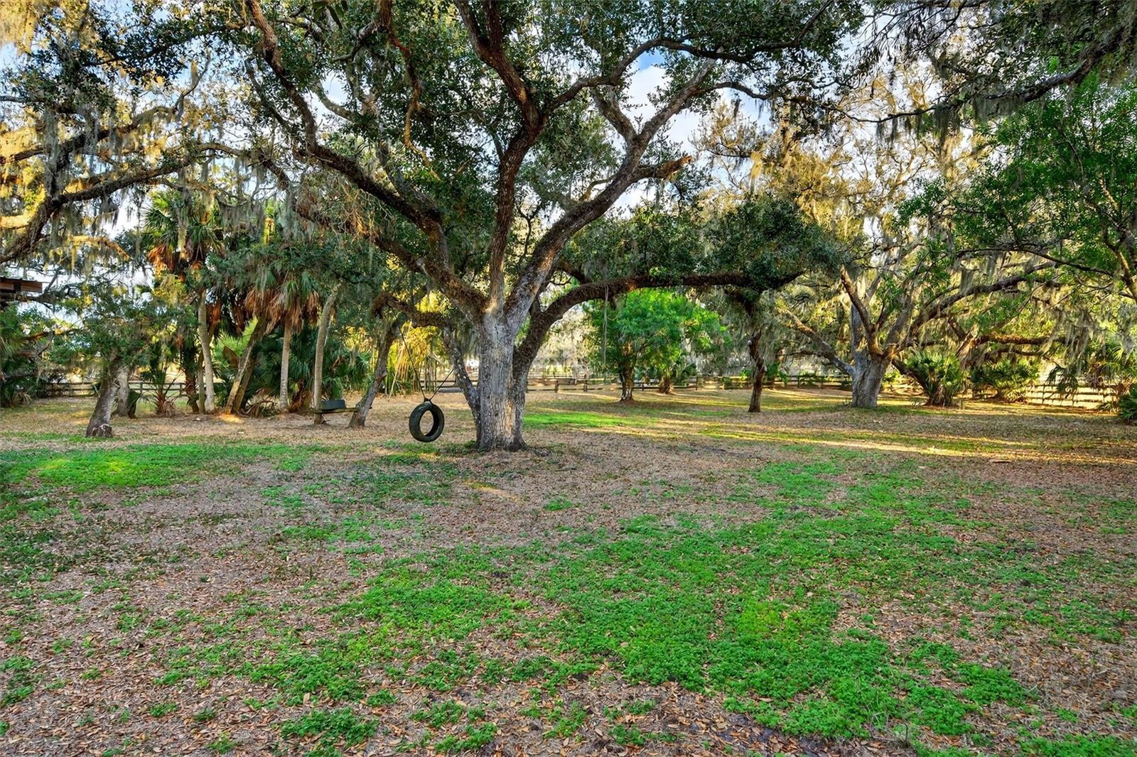 SADDLE CREEK - Residential