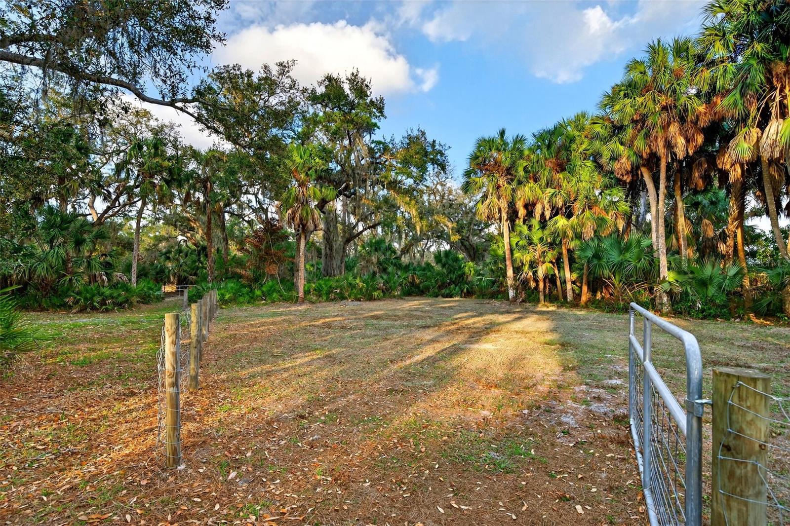 SADDLE CREEK - Residential