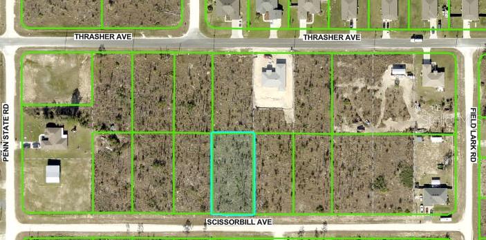Nestled away in a highly desirable area of the Royal Highlands, this beautiful home site is waiting for you. The location is fantastic, ready to build your dream home on - or hold on to as an investment. Not in a deed restricted community, NO HOA or CDD fees either, and there is no time limit on when you can build. Close to all area amenities such as shopping, schools, dining, entertainment, medical, saltwater fishing in the Gulf and natural freshwater rivers and springs - for those who love the outdoors. Come see this beautiful home site today before it's gone. If you have any questions, just ask. Adjoining lot to the West is available for purchase from the same seller!