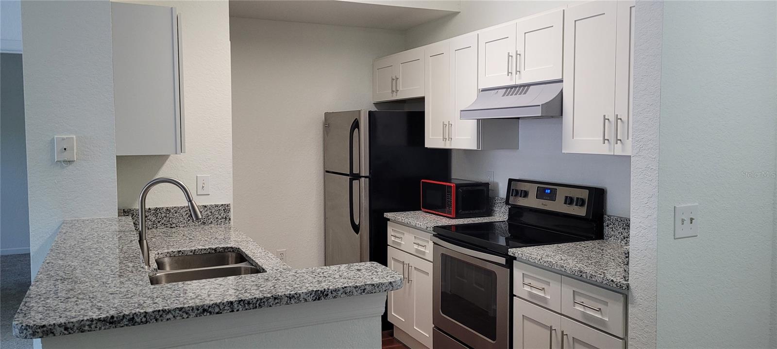 17104 CARRINGTON PARK DRIVE 513