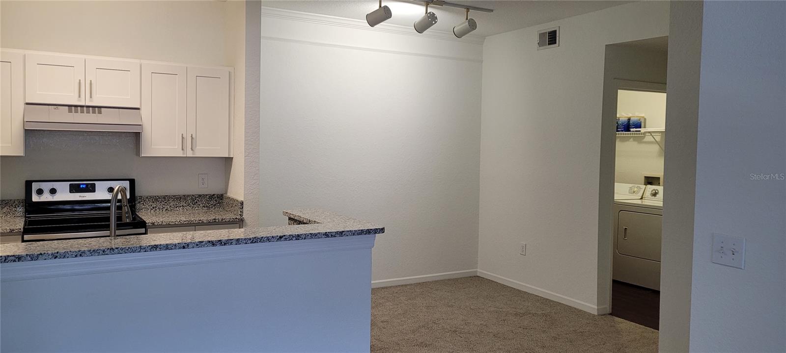 17104 CARRINGTON PARK DRIVE 513