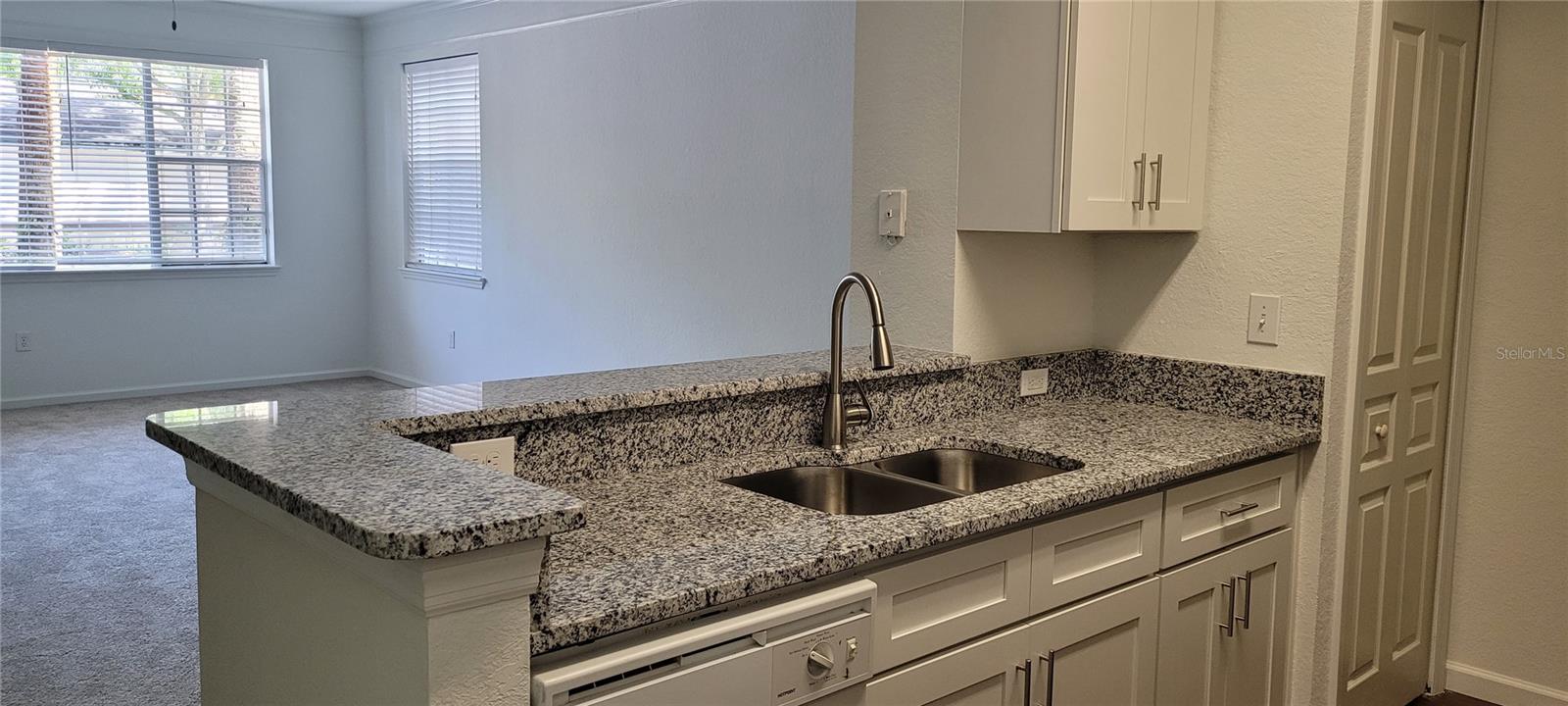 17104 CARRINGTON PARK DRIVE 513