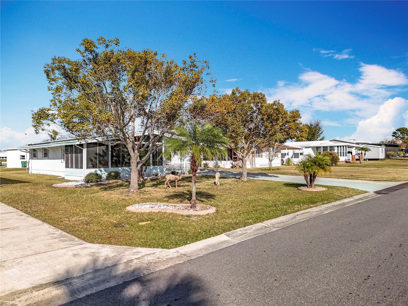 TAVARES LAKE FRANCES ESTATES - Residential