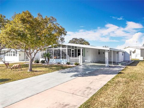 1026 CAPELLA DRIVE TAVARES FL 32778