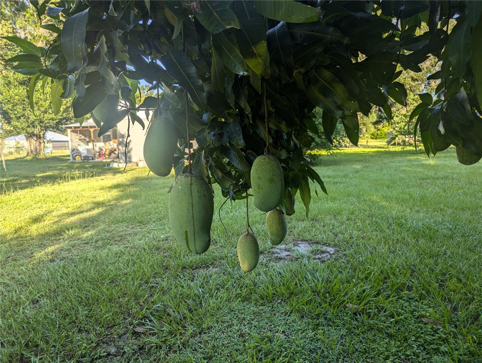 ORANGE PARK PLAN - Land