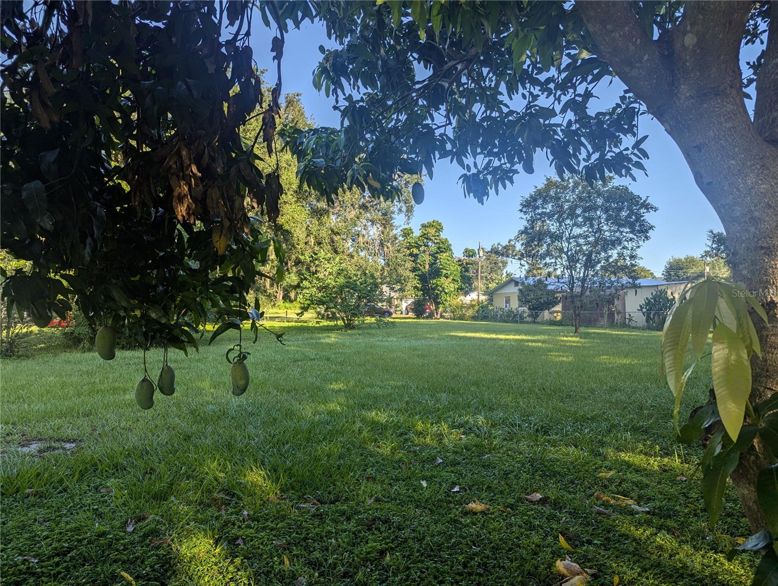 ORANGE PARK PLAN - Land