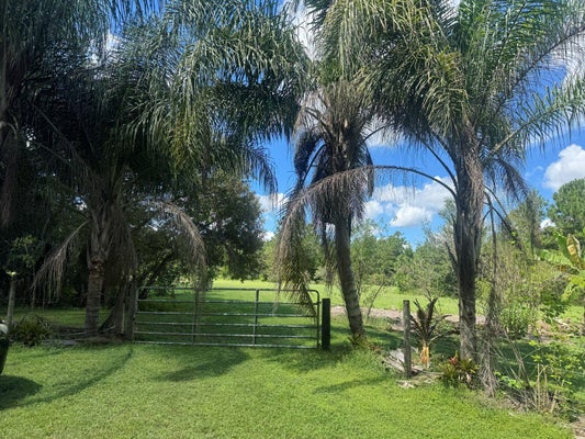 MECCA HAMMOCK TRL, SANFORD, FL 32773 - Image 5c12e8684d3dc39e4c2d77606189ec2e/2823890192
