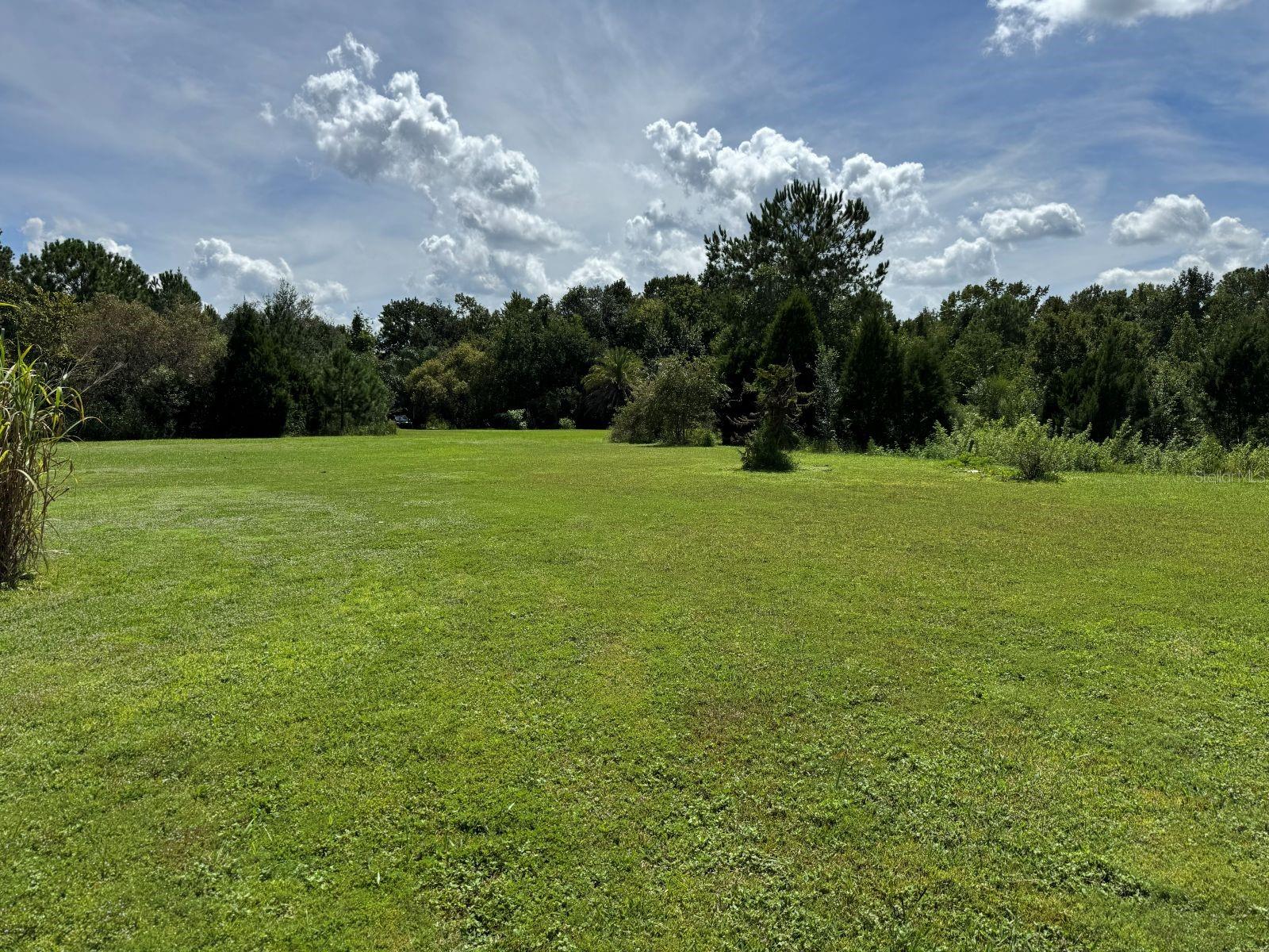 MECCA HAMMOCK TRAIL
