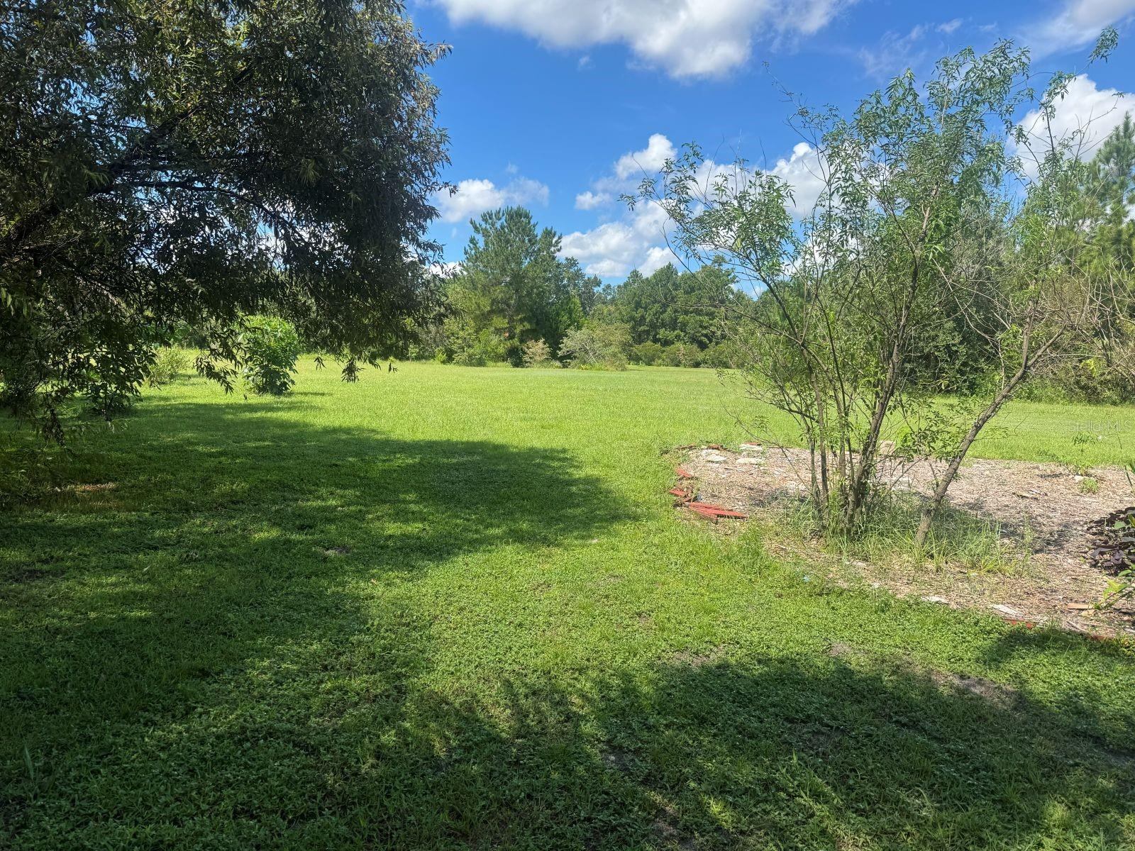 MECCA HAMMOCK TRAIL