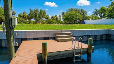 3904 DANA SHORES DRIVE TAMPA FL 33634