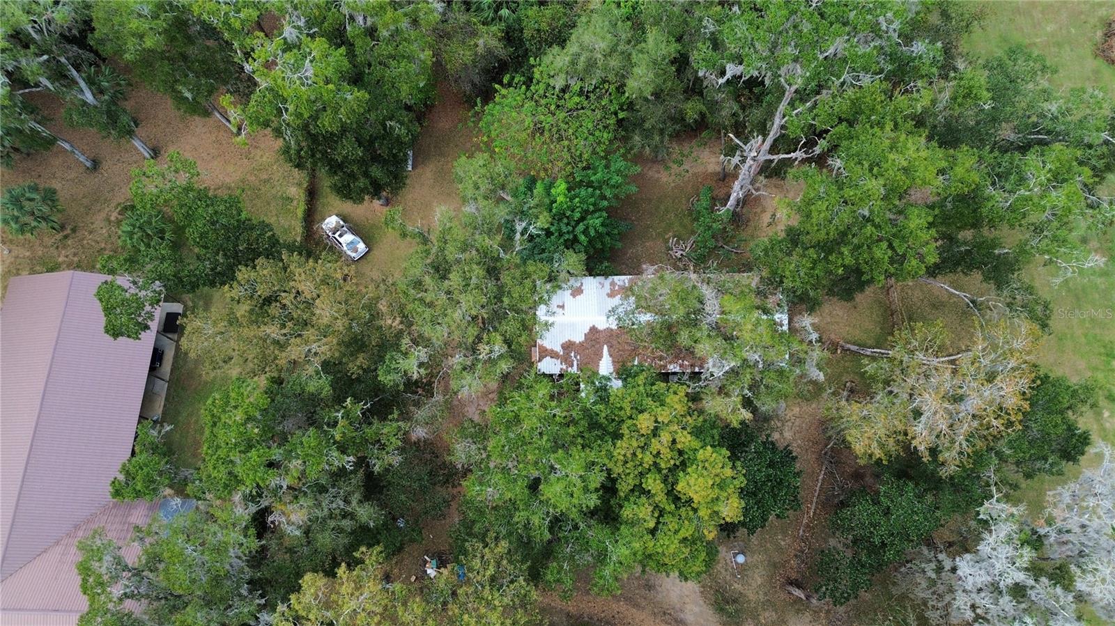 FLORIDA ORANGE GROVE CORP - Residential