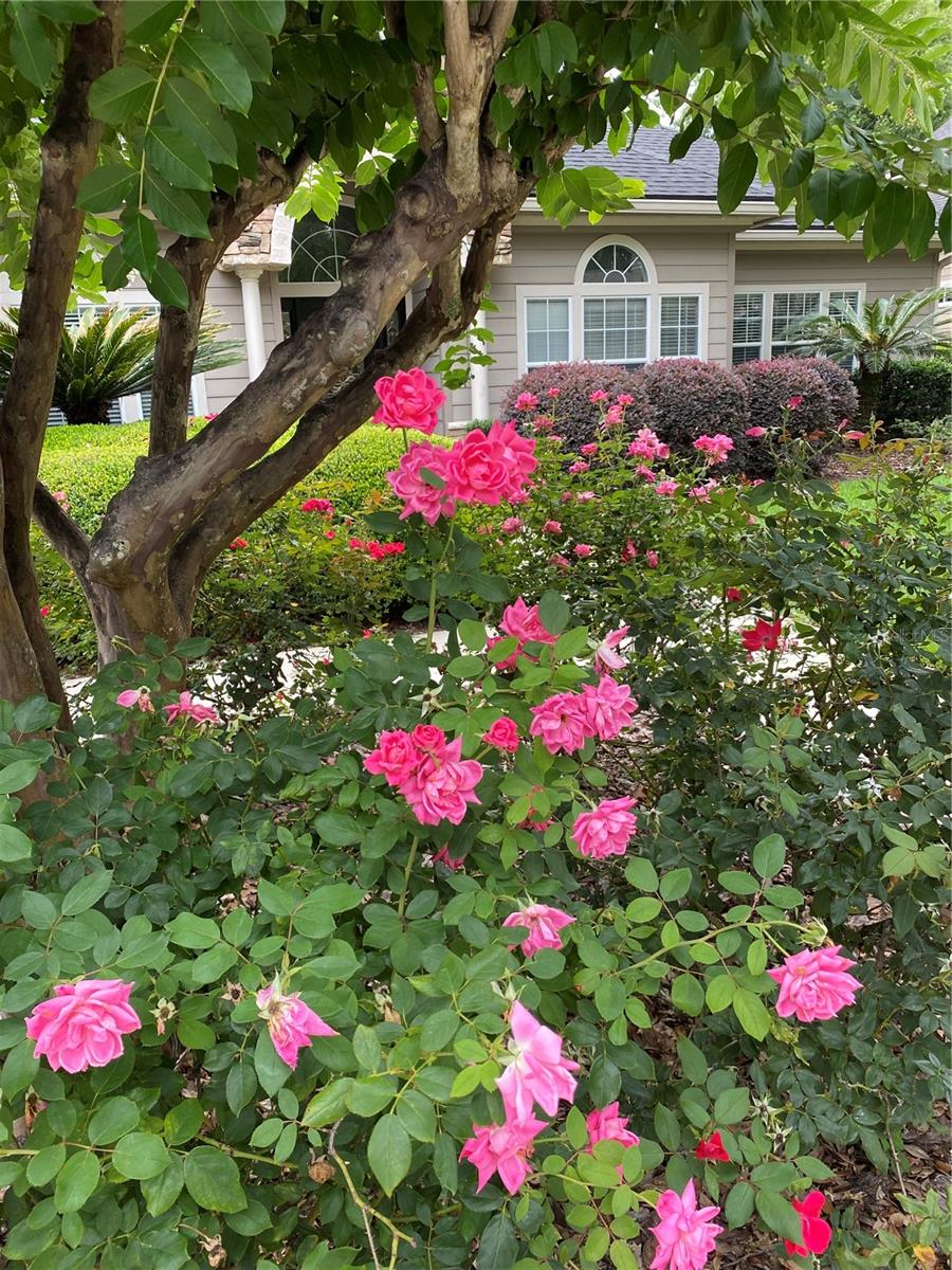 BRECKENRIDGE CLUSTER - Residential Lease