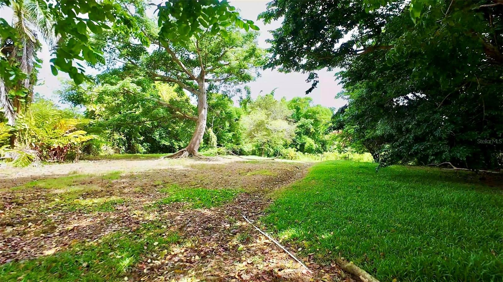 BO. NARANJO FAJARDO - Residential