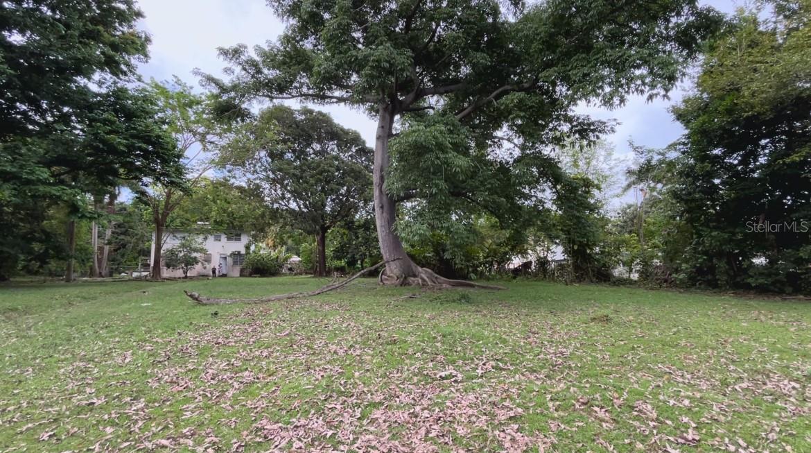 BO. NARANJO FAJARDO - Residential