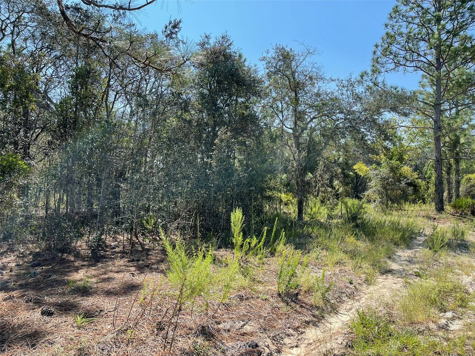 CITRUS SPRINGS UNIT 3 - Land