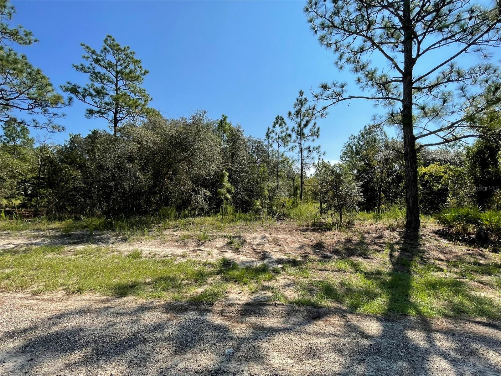 CITRUS SPRINGS UNIT 3 - Land