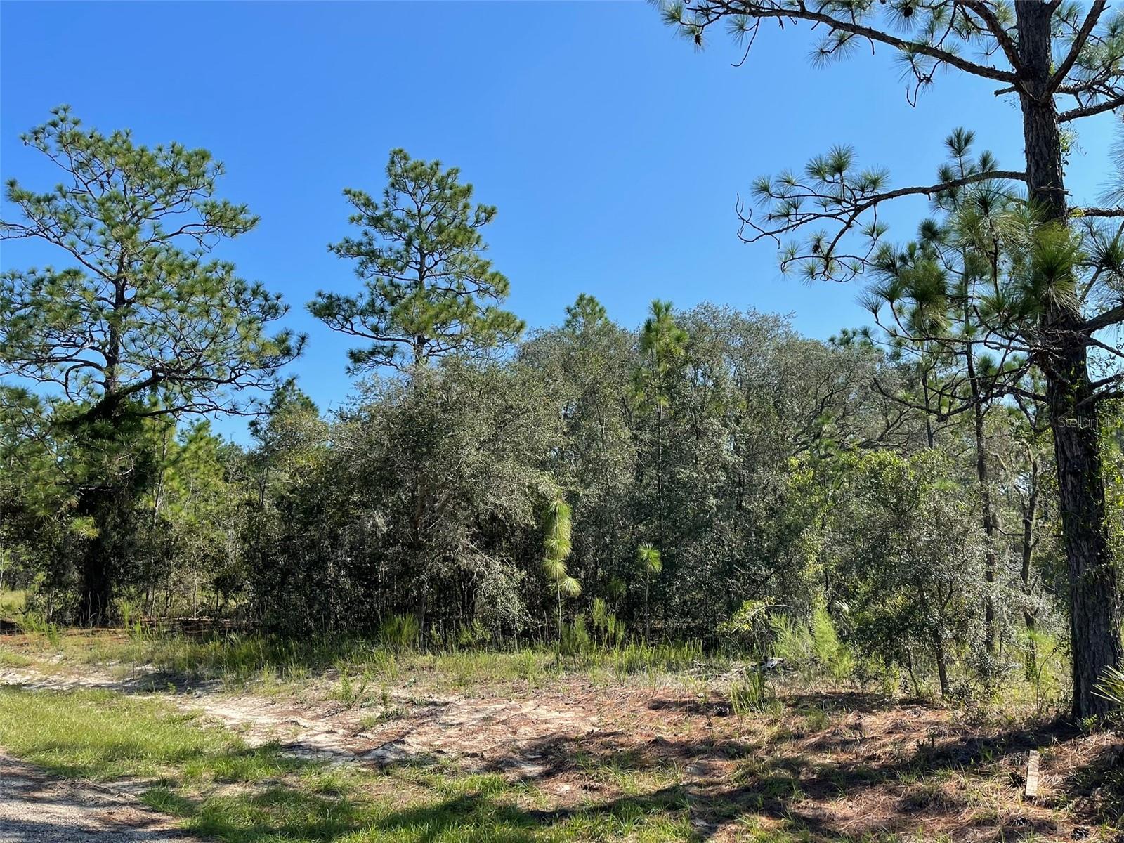 CITRUS SPRINGS UNIT 3 - Land