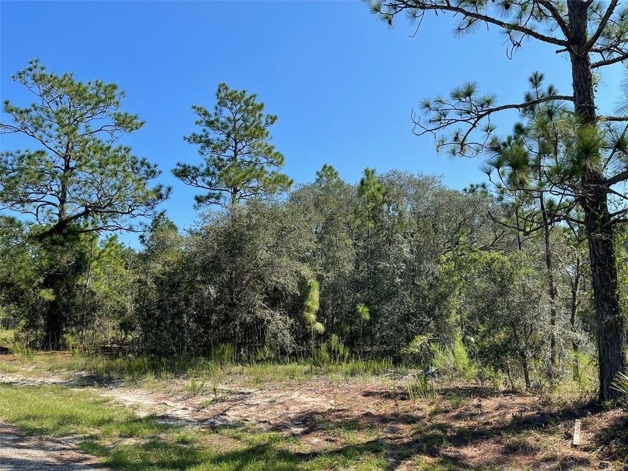 HANG ON! ...YOU'RE IN FOR A WILD RIDE! Citrus Springs is BOOMING! Join the excitement with this .23-acre homesite. Zoned for a Single-Family Home and is NOT located in a Flood Zone. Public Water Available and Septic Needed. Dead restrictions but NO HOA Fees. The famous Withlacoochee State Trail for biking, hiking, & great nature walks is about 3 miles away. Just a short 20-minute drive to the beautiful Rainbow & Withlacoochee Rivers. Crystal River, the home of the Manatee, is nearby as well and so much more!... Go & see!