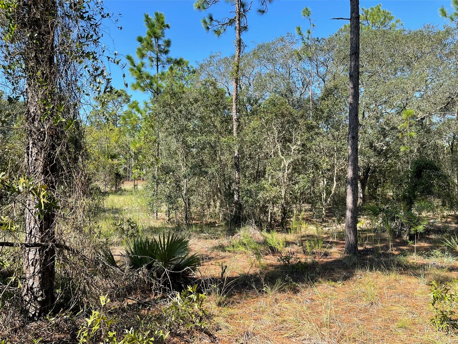 CITRUS SPRINGS UNIT 3 - Land