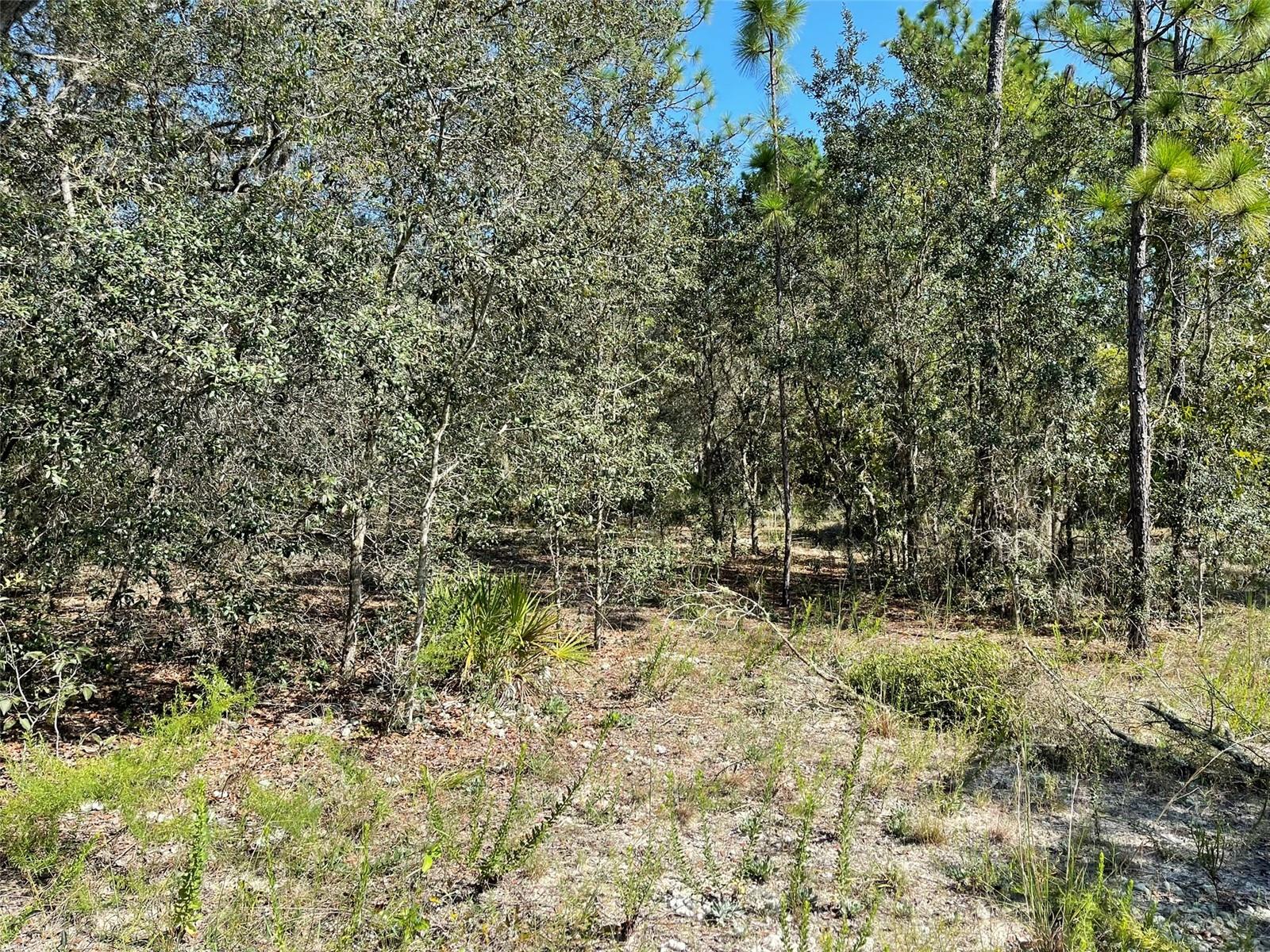 CITRUS SPRINGS UNIT 3 - Land