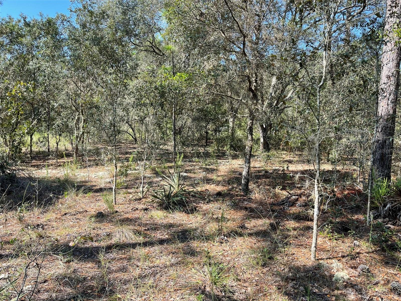 CITRUS SPRINGS UNIT 3 - Land