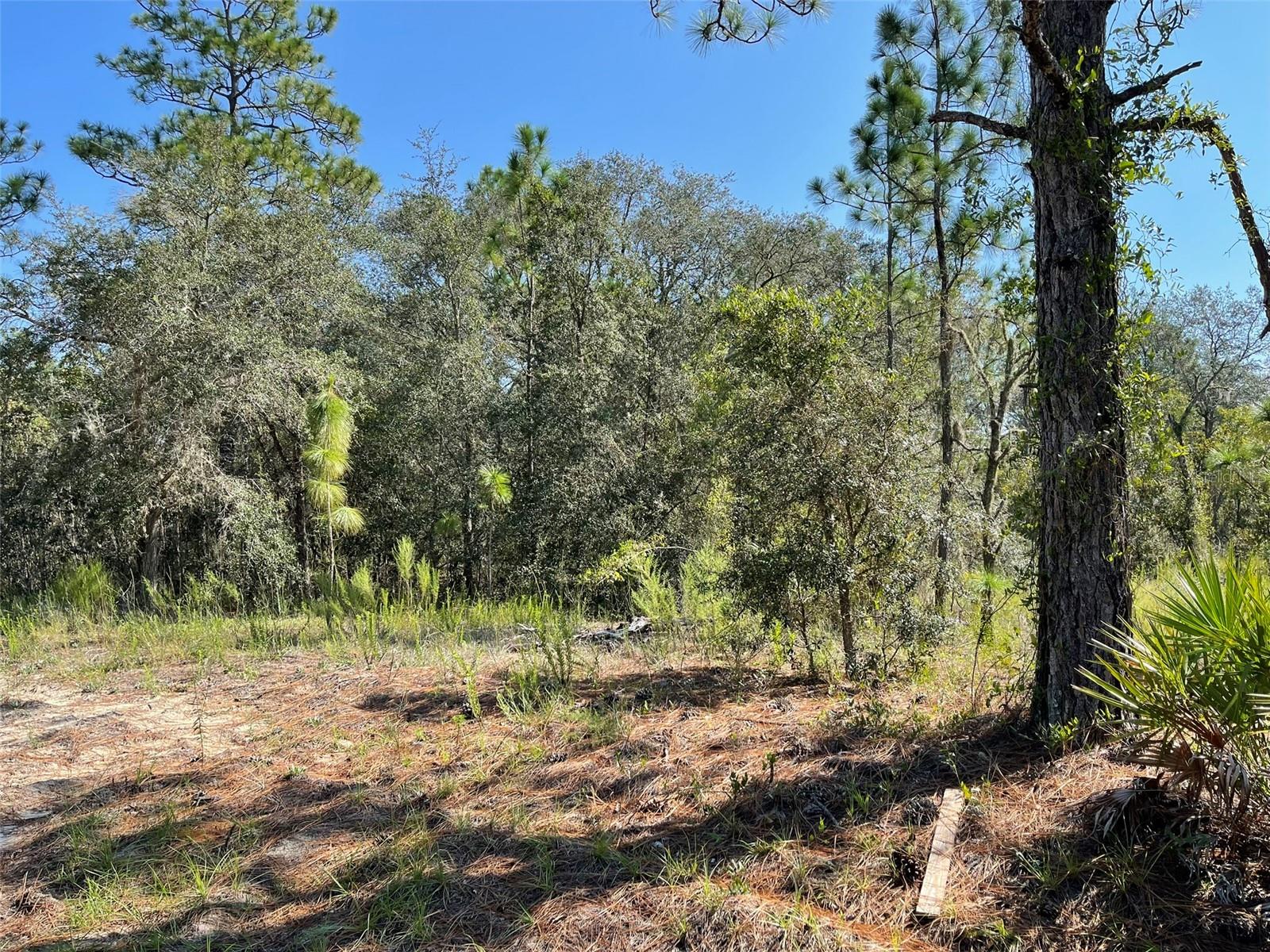 CITRUS SPRINGS UNIT 3 - Land