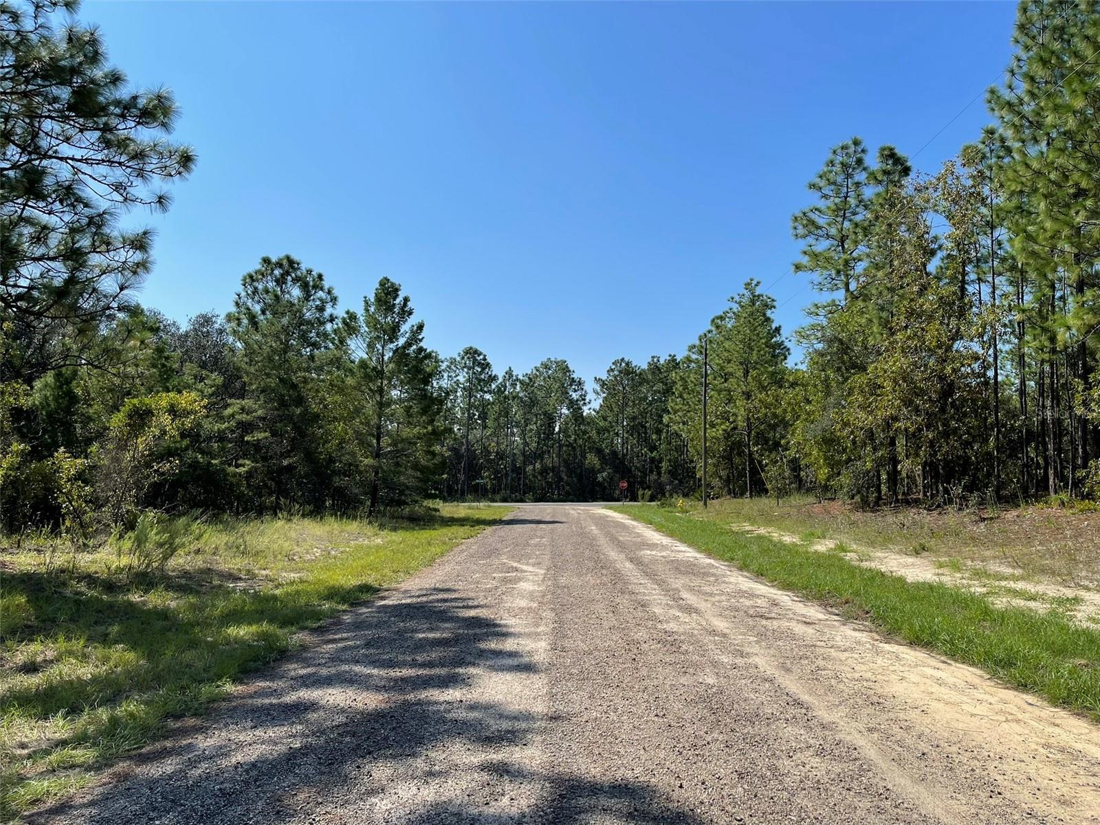 CITRUS SPRINGS UNIT 3 - Land