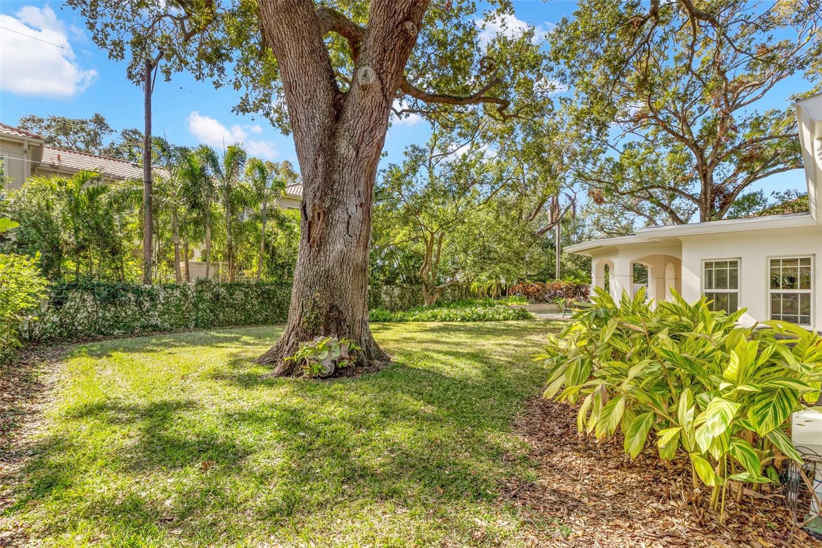 BEACH PARK - Residential